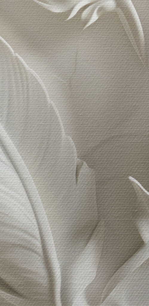 White feather carving on a wall White feather carving on a wall