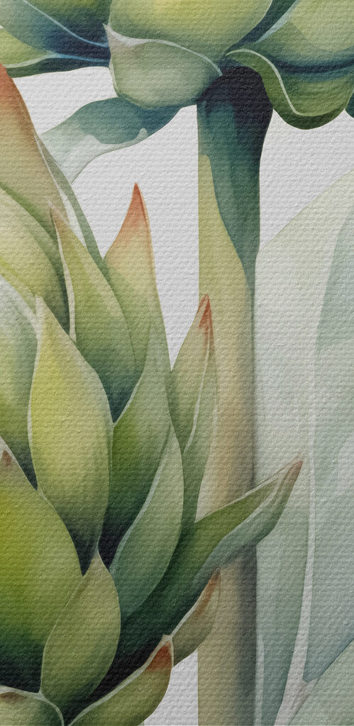 Close up of a plant