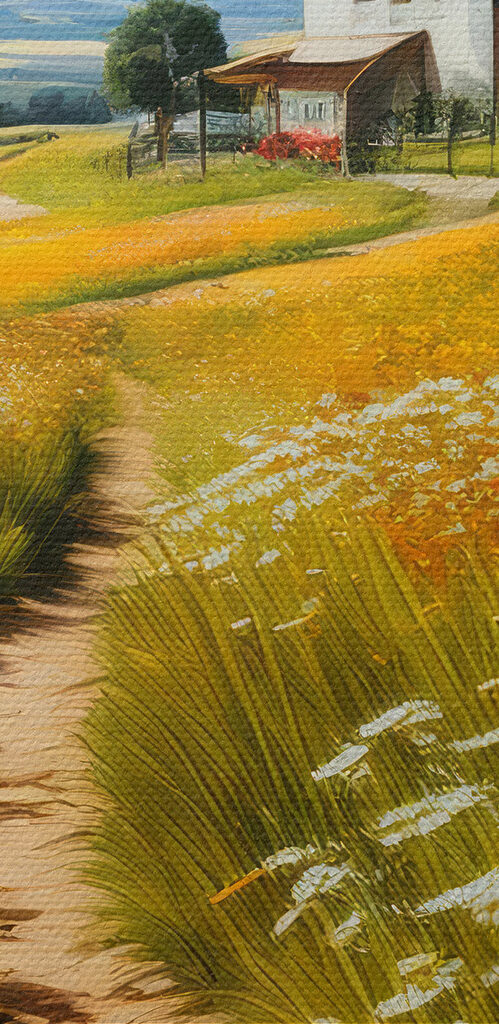 Path through a field of flowers Path through a field of flowers