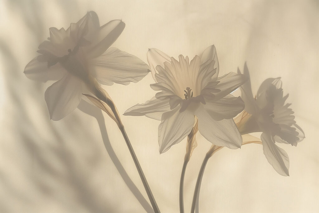 Group of white flowers