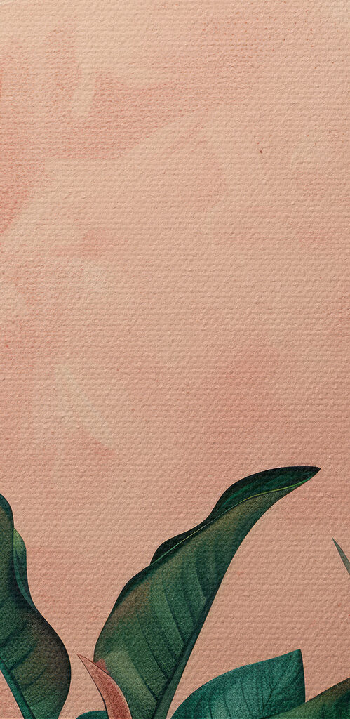 Close up of a plant