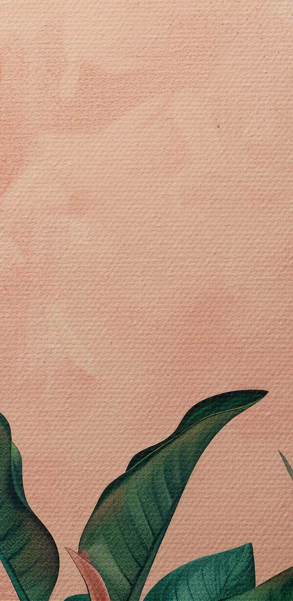 Close up of a plant