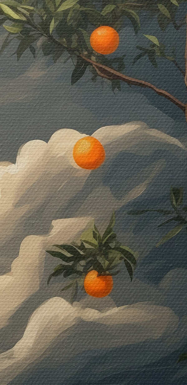 Tree with oranges on it Tree with oranges on it