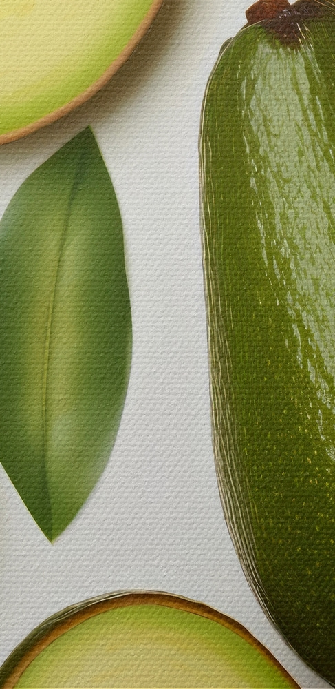 Avocados and avocados with leaves and water drops Avocados and avocados with leaves and water drops