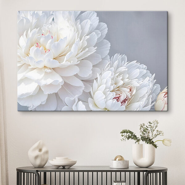 Quadri Quadri Primo piano di fiori bianchi (COD: s41085)