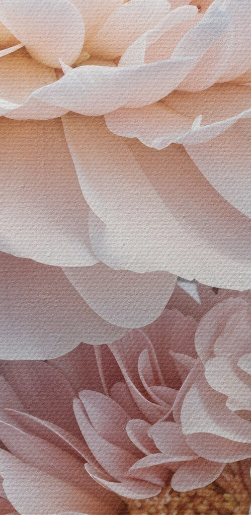 Close up of flowers