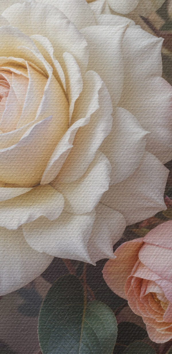 Group of white and pink roses