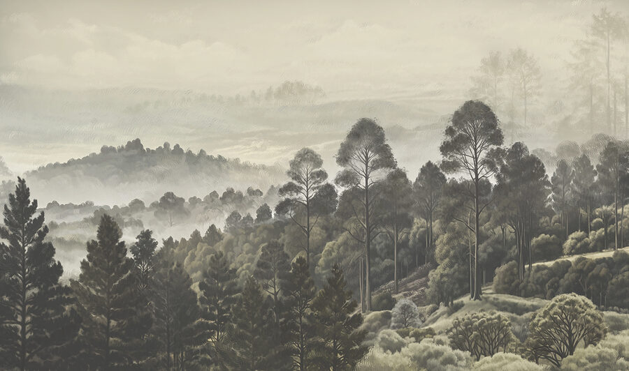Paesaggio di alberi e nebbia Paesaggio di alberi e nebbia