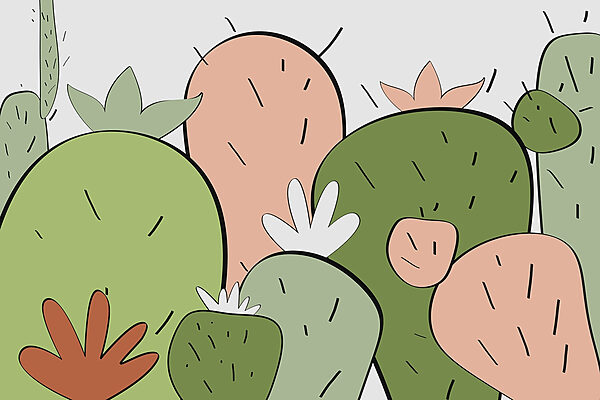 Gruppo di cactus di forme diverse Gruppo di cactus di forme diverse