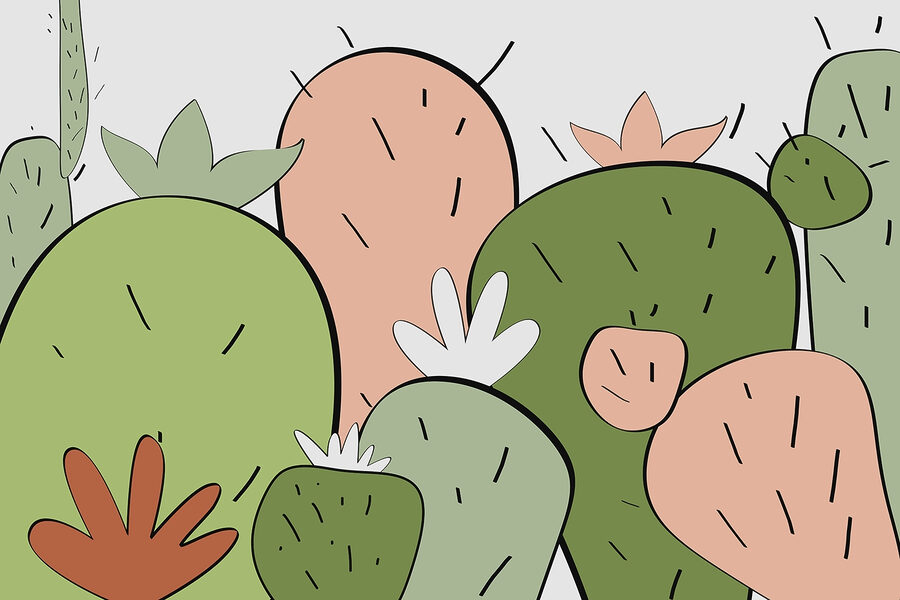 Gruppo di cactus di forme diverse