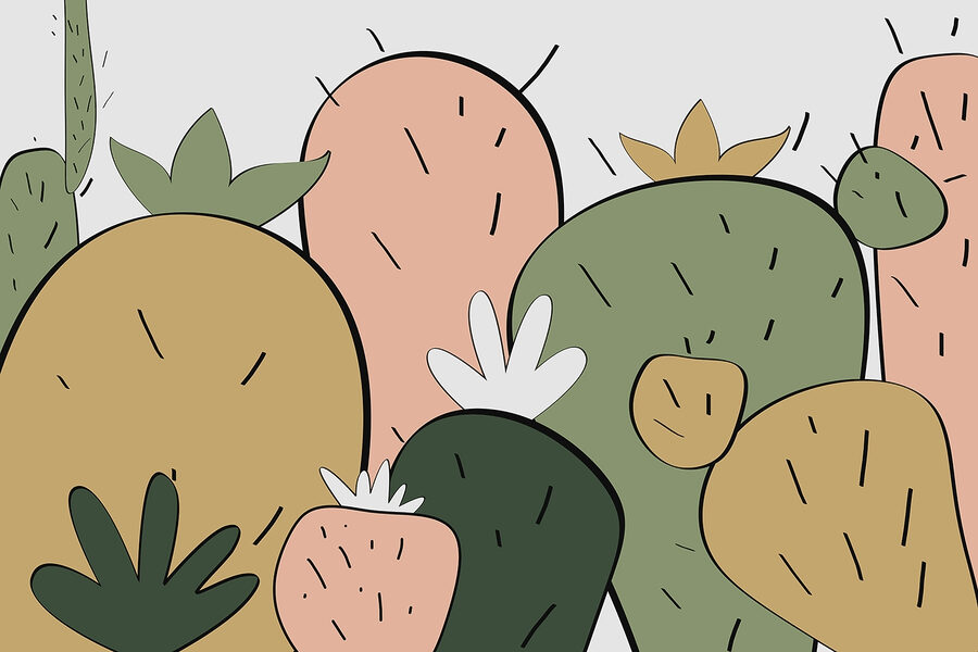 Gruppo di cactus di forme diverse