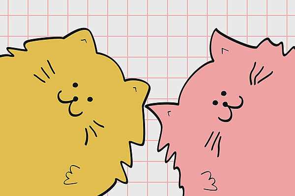 Gatto giallo e rosa Gatto giallo e rosa