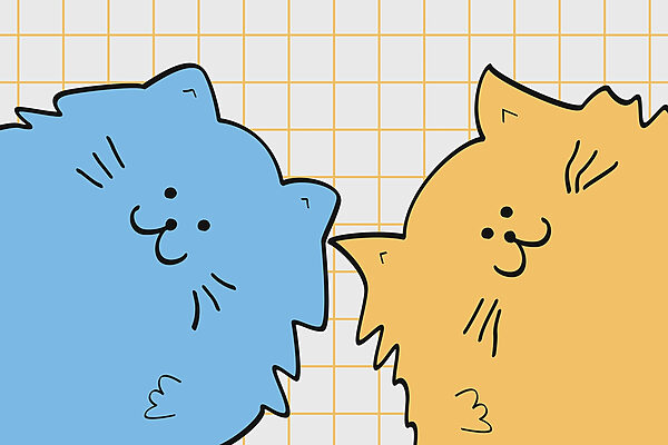 Gatto blu e giallo Gatto blu e giallo