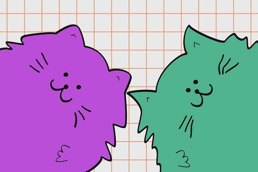Gatto viola e verde