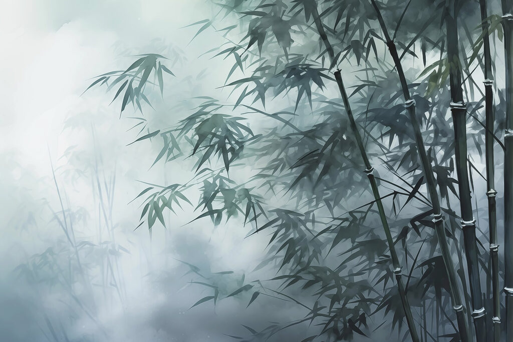 Alberi di bambù nella nebbia Alberi di bambù nella nebbia