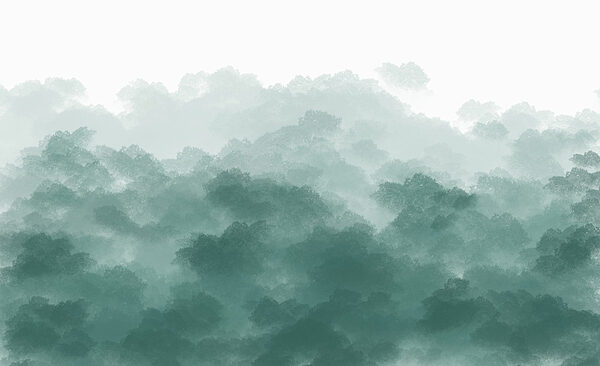 Cielo verde e bianco nebbioso Cielo verde e bianco nebbioso
