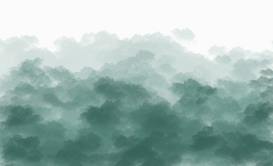 Cielo verde e bianco nebbioso