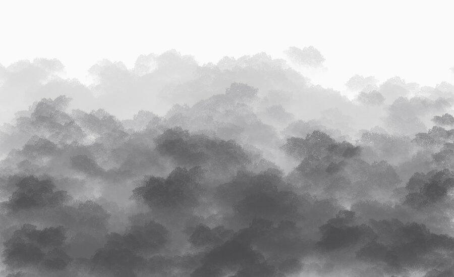 Carta da parati Immagine in bianco e nero di nuvole - immagine 6