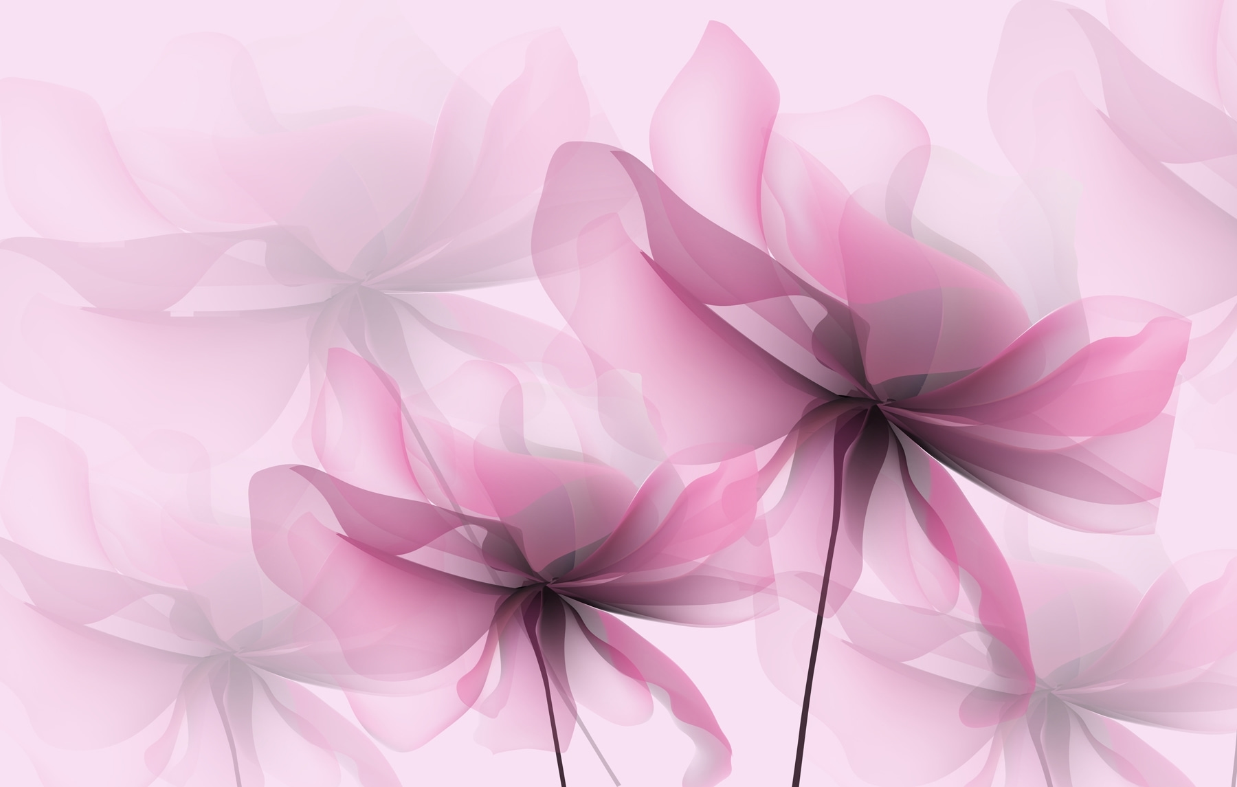 Close up of flowers