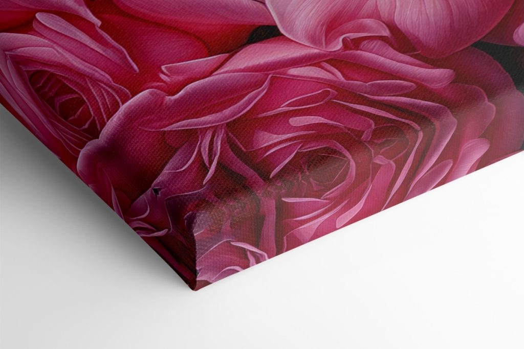 Group of pink roses