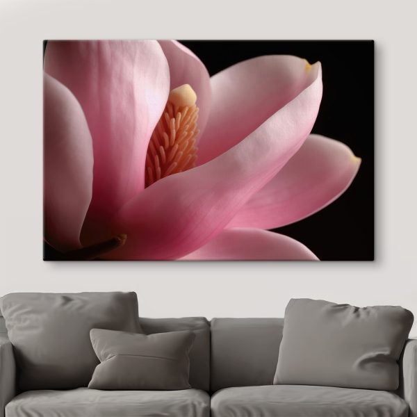 Quadri I petali rosa avvolgono il delicato cuore (COD: s35775) Quadri Quadri I petali rosa avvolgono il delicato cuore (COD: s35775)