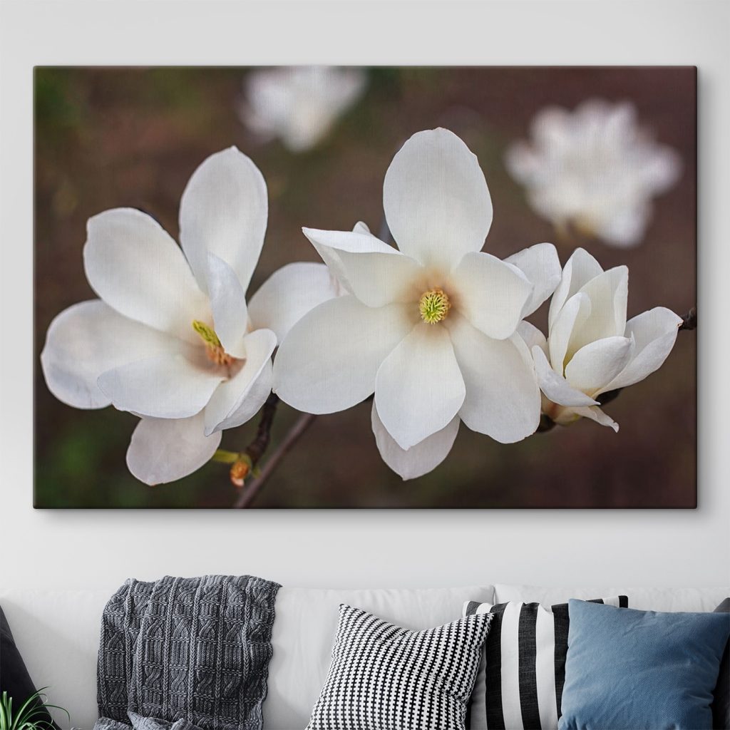 Group of white flowers