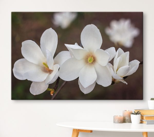 Group of white flowers
