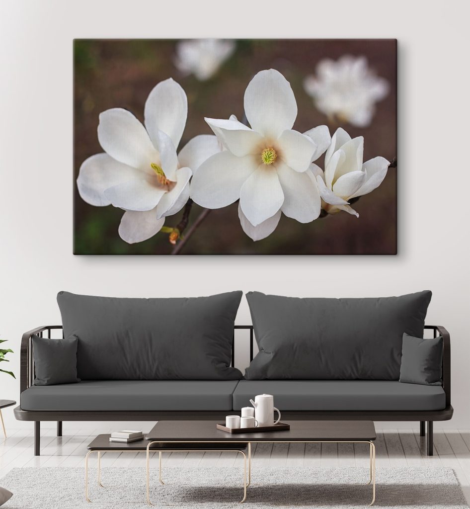 Group of white flowers