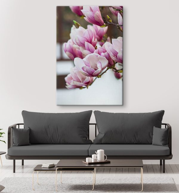 Quadri I fiori di magnolia primaverili tornano a sbocciare (COD: s35779) Quadri Quadri I fiori di magnolia primaverili tornano a sbocciare (COD: s35779)