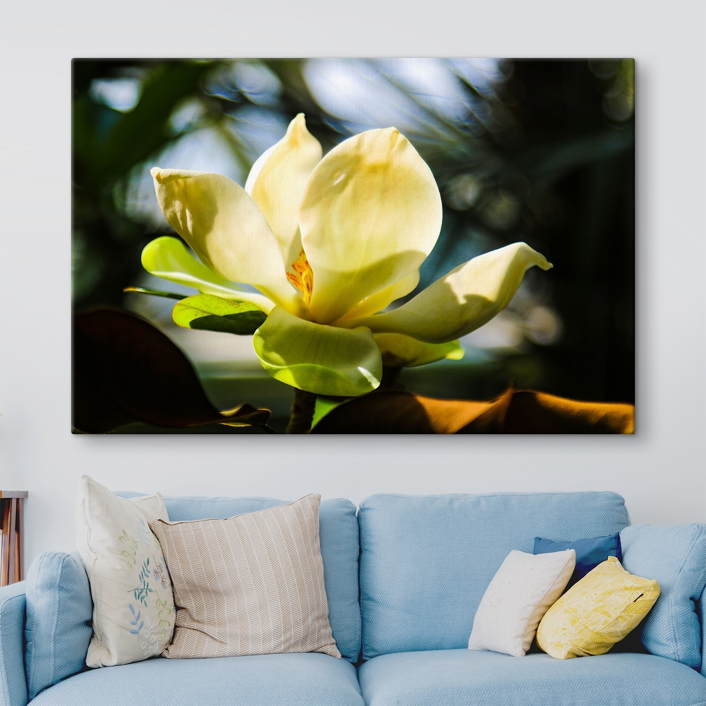 Creamy magnolia, spotlighted by light