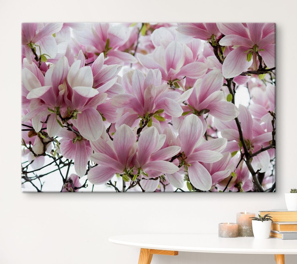 Group of pink flowers