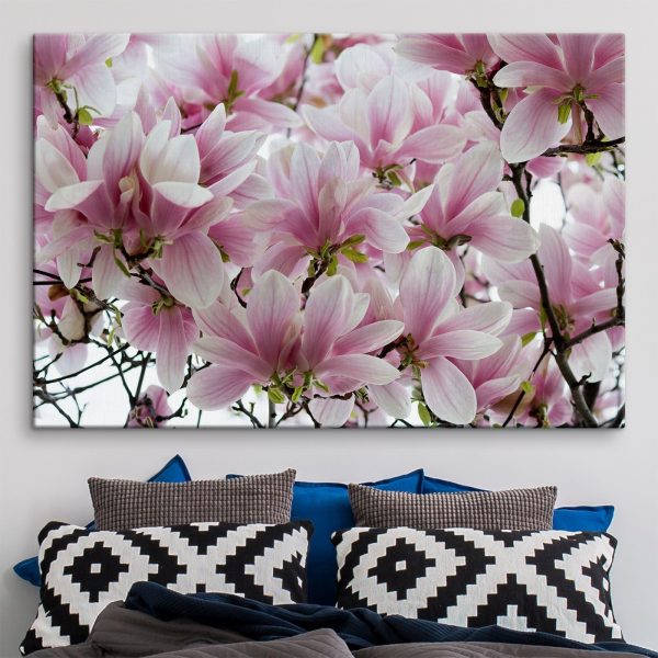 Group of pink flowers