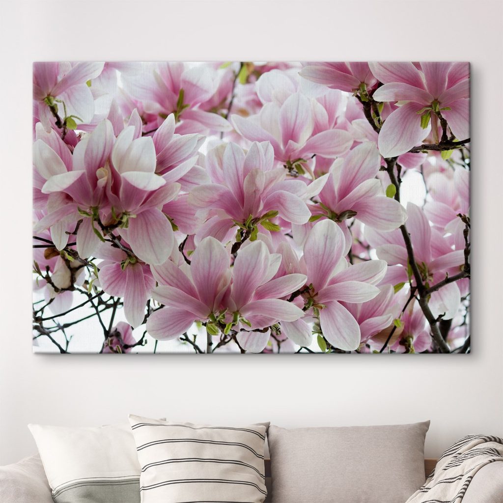 Group of pink flowers