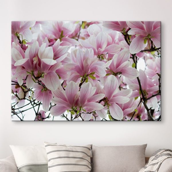 Group of pink flowers