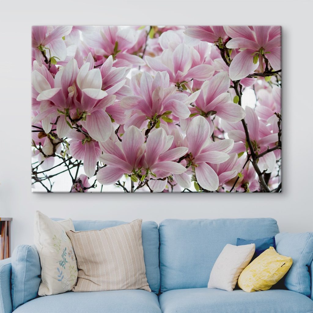 Group of pink flowers