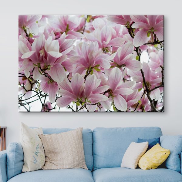 Group of pink flowers