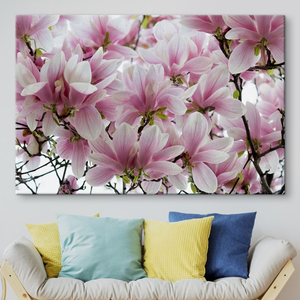 Group of pink flowers