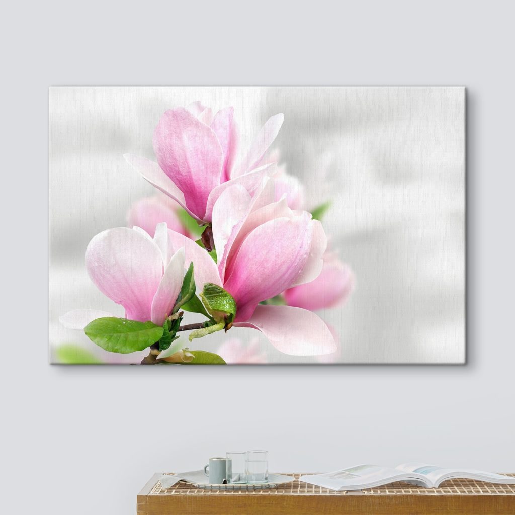 Pink Magnolia Blossoms in Bloom