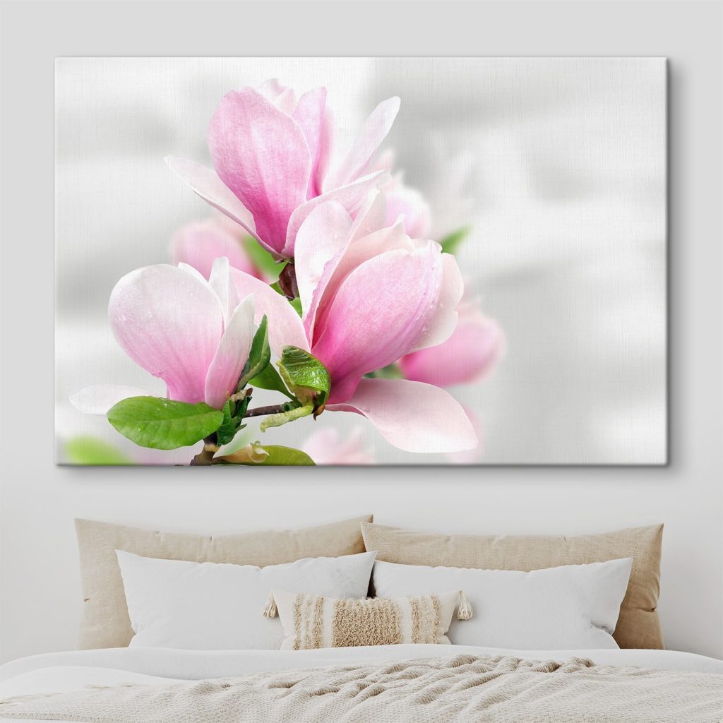 Pink Magnolia Blossoms in Bloom
