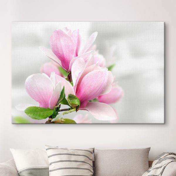 Pink Magnolia Blossoms in Bloom