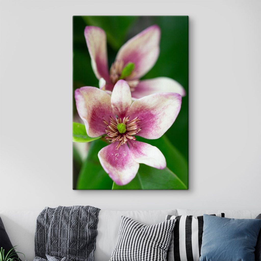 Delicate bloom in soft focus