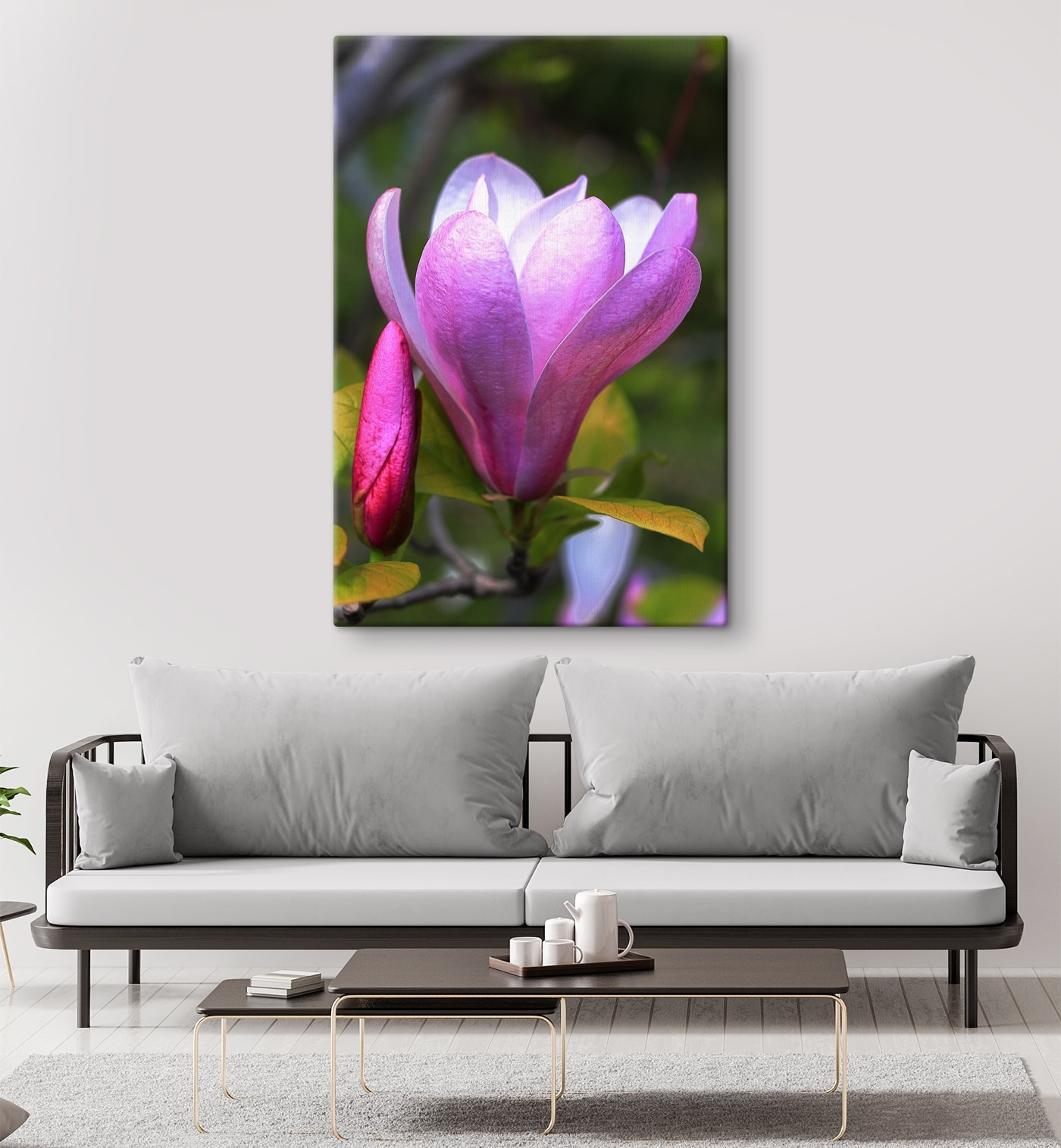 Magnolia: Nature's Graceful Bloom
