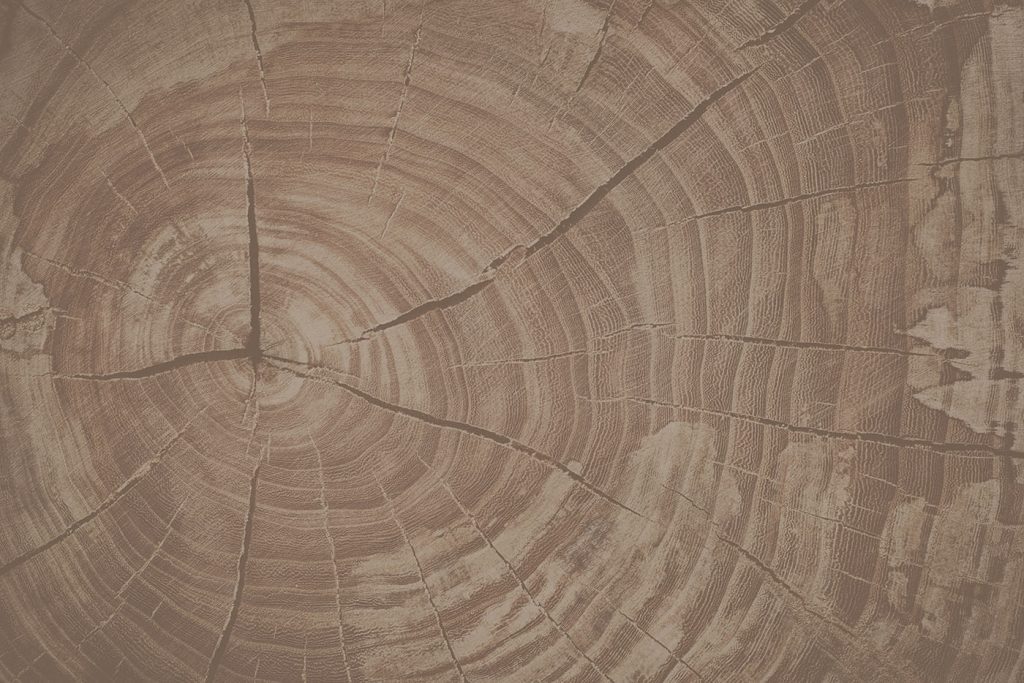 Tree Rings Tell Nature's Story Tree Rings Tell Nature's Story