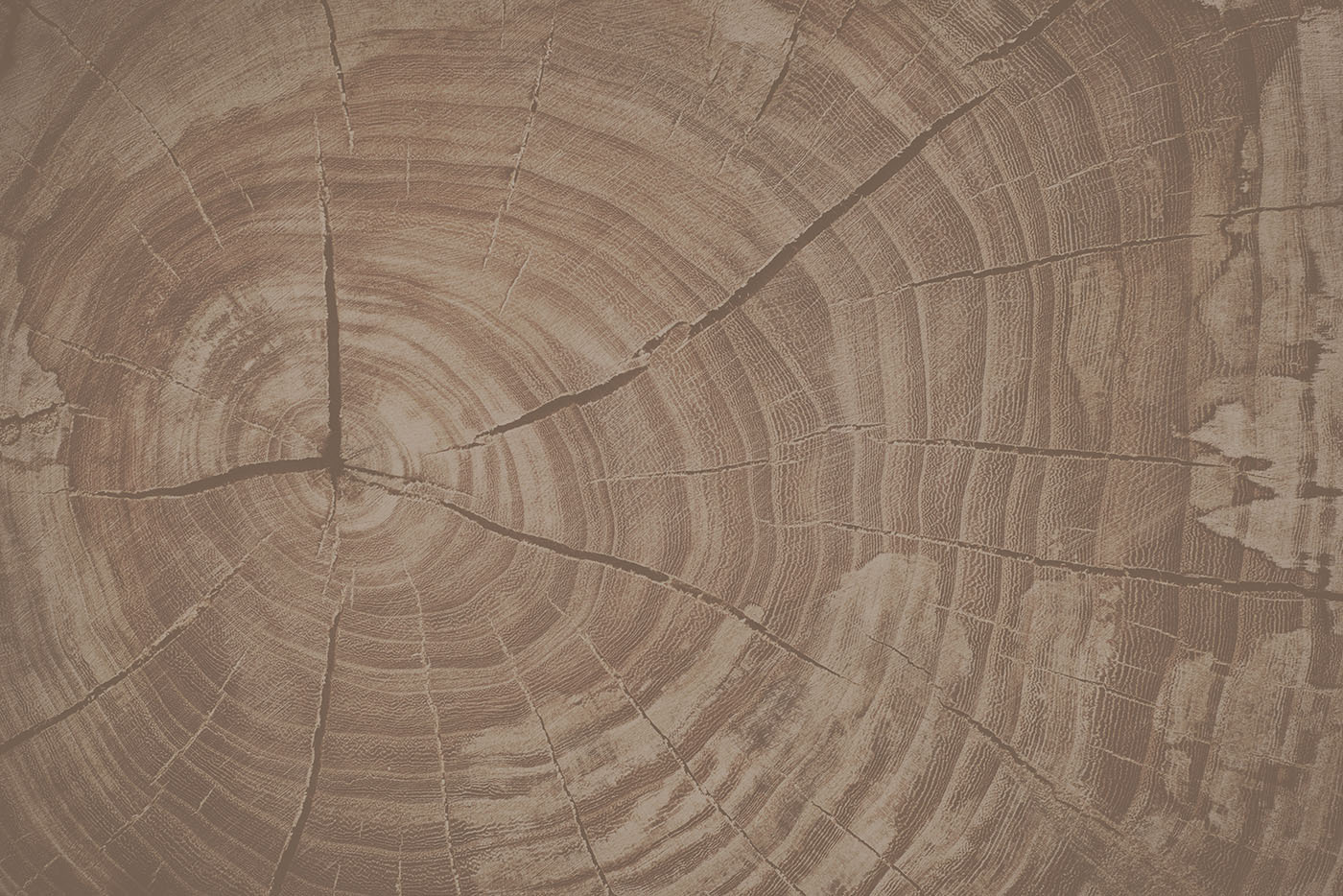 Tree Rings Tell Nature's Story Tree Rings Tell Nature's Story