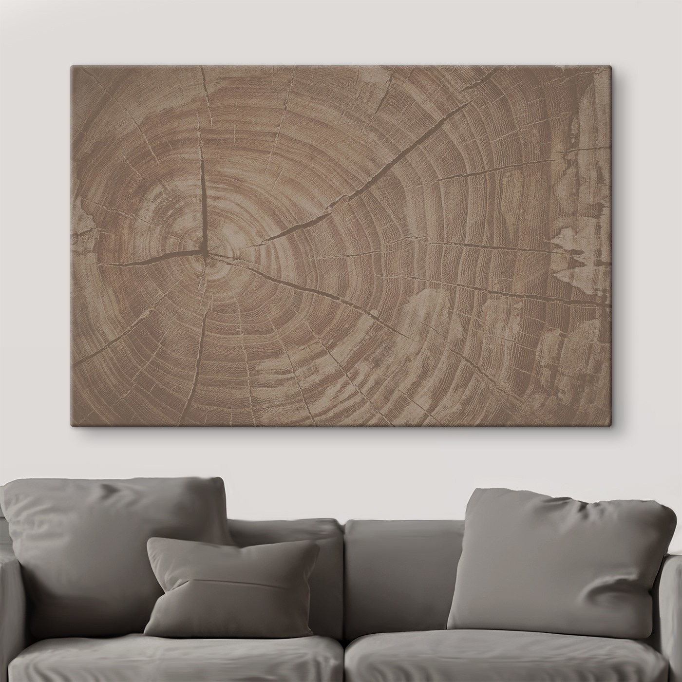 Tree Rings Tell Nature's Story Tree Rings Tell Nature's Story