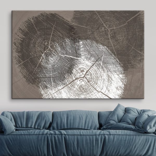 Quadri Quadri Gli anelli degli alberi in primo piano in bianco e nero (COD: s36004)