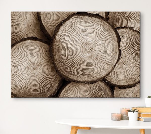 Quadri Quadri Gruppo di alberi abbattuti (COD: s36006)