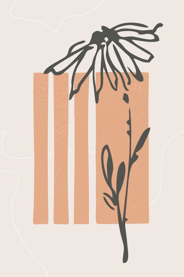 Flower and a plant