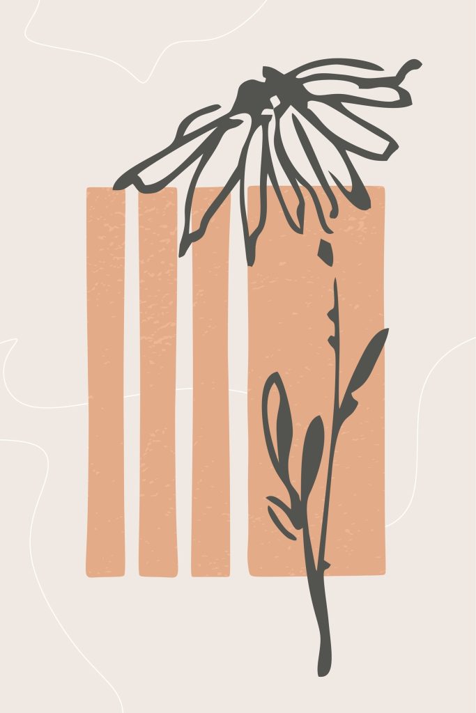Flower and a plant