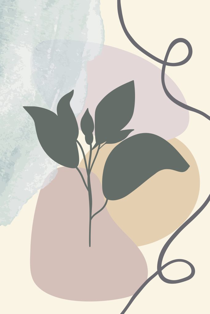 Plant with leaves on a colorful background Plant with leaves on a colorful background